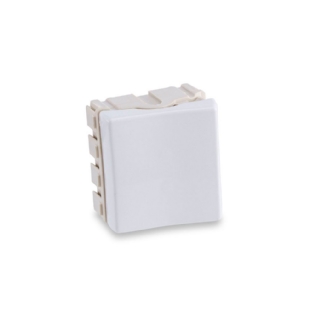 Módulo Interruptor Bipolar Simples 10A 250V Rubi - Force Line